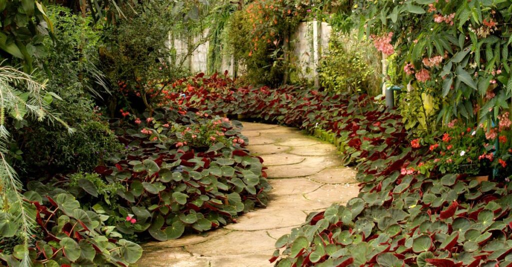 Foto de un camino del Jardín Botánico 